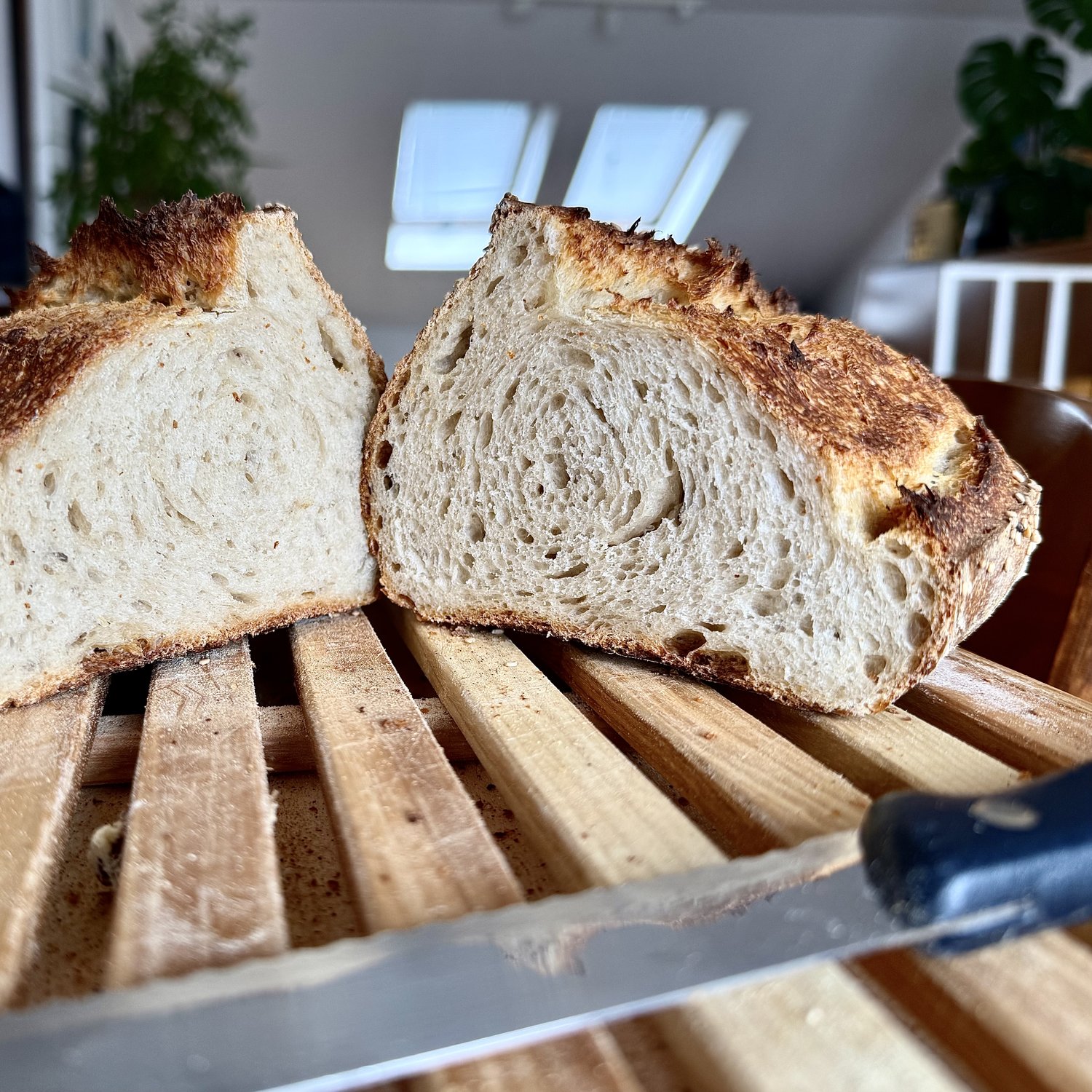Pane fatto in casa tagliato a metà, con crosta dorata e mollica in vista
